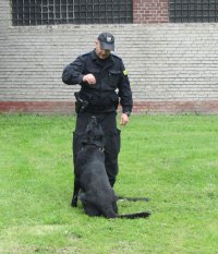 Policjanci pomagają zbliżyć się do marzeń...