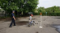 Policjanci uczestniczyli w pikniku rodzinnym