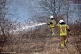 Obrazek przedstawia zadymiony obszar leśny oraz dwóch strażaków dogaszających pożar