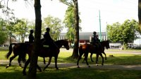 obrazek przedstawia policjantów na koniach na tle stadionu miejskiego