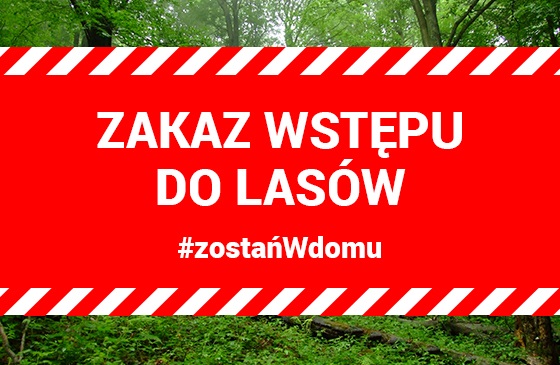 Tabliczka informacyjna informująca o zakazie wstępu do lasu