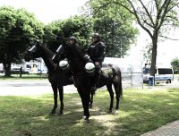 Policyjne konie służbowe z policjantami, w tle radiowóz.