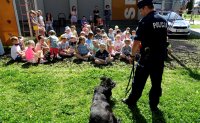 Grupa dzieci siedzi przed umundurowanym policjantem, który trzyma na smyczy psa. Za dziećmi widoczne opiekunki oraz policyjny radiowóz.