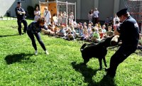 Dwóch umundurowanych policjantów stoi przed grupą dzieci wraz z opiekunkami. Jedna z kobiet trzyma czarnego psa służbowego na smyczy, pies gryzie policjanta w rękaw do gryzienia założony na ręce.