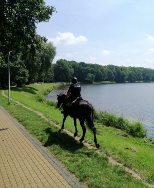 Policjant na koniu, w tle jezioro Paprocany.