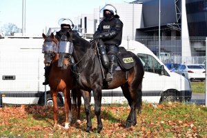 Policjanci na koniach.