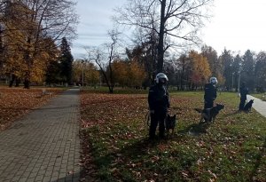 Policyjni przewodnicy z psami służbowymi.