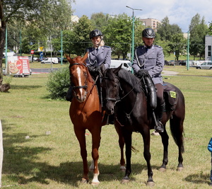 Zdjęcie przedstawiające policjantów na koniach.