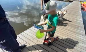 Chłopczyk na molo trzyma kolorowankę i czapkę z daszkiem, dalej widoczne psy.