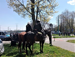 Na zdjęciu dwa policyjne konie. Przed nimi grupa umundurowanych policjantów. W tle widoczni ludzie oraz radiowozy policyjne.