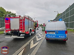 Na zdjęciu radiowóz policyjny i wóz straży pożarnej podczas obsługi zdarzenia drogowego. W tle droga.