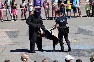 Na zdjęciu policjant z psem służbowym oraz pozorant podczas pokazu.