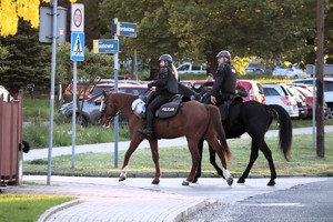 Na zdjęciu policjanci na koniach podczas patrolu