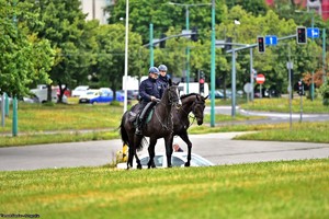 Na zdjęciu policyjne konie