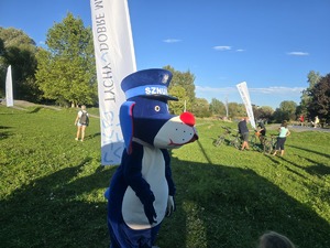kolorowe zdjęcie przedstawiające Sznupka